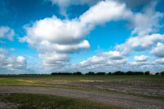 Dallas Skydive Center - The landing zone.